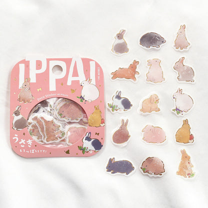 Set of rabbit-themed stickers with a pink packaging box on a white background